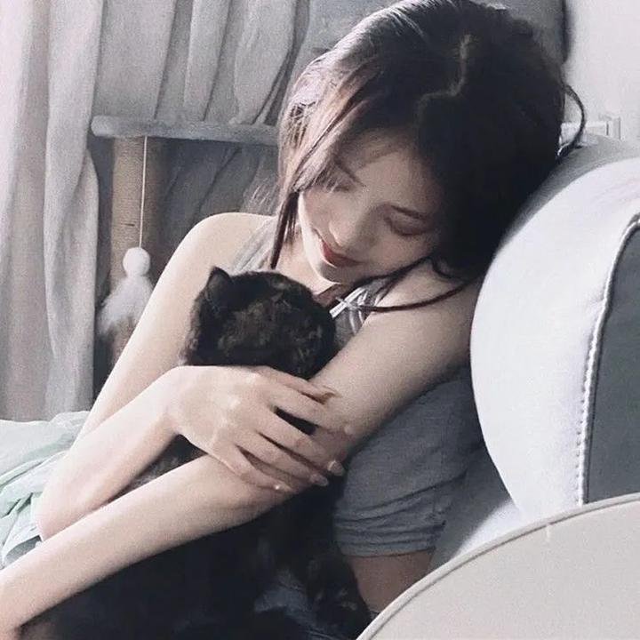 顾总你老婆带球跑了